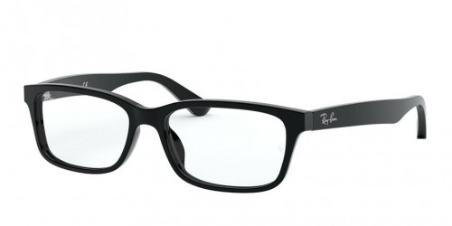 Ray-Ban 0RX5296D
